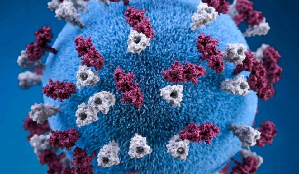 covid-19-coronavirus-covid-cell-pandemic-corona-virus-1608799-pxhere.com